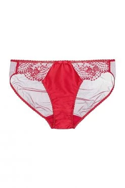 Dita Von Teese Lingerie Julie's Roses Red Briefs