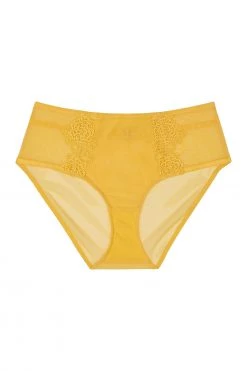 Playful Promises Knickers Vivienne Mustard Net Satin And Lace High Waist Brief 20 Playful Promises Knickers Vivienne Mustard Net Satin And Lace High Waist Brief