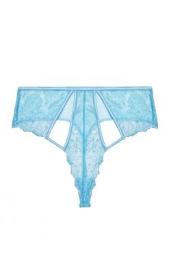 Playful Promises Curve Exclusive Peyton Blue Embroidery High Waist Thong Knickers
