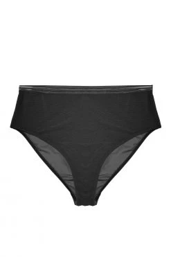 Playful Promises Curve Exclusive Chelsea Black Mesh Highwaist Brief Knickers