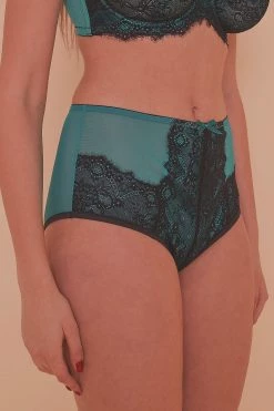 Playful Promises Knickers Ezmae Teal HW Brief