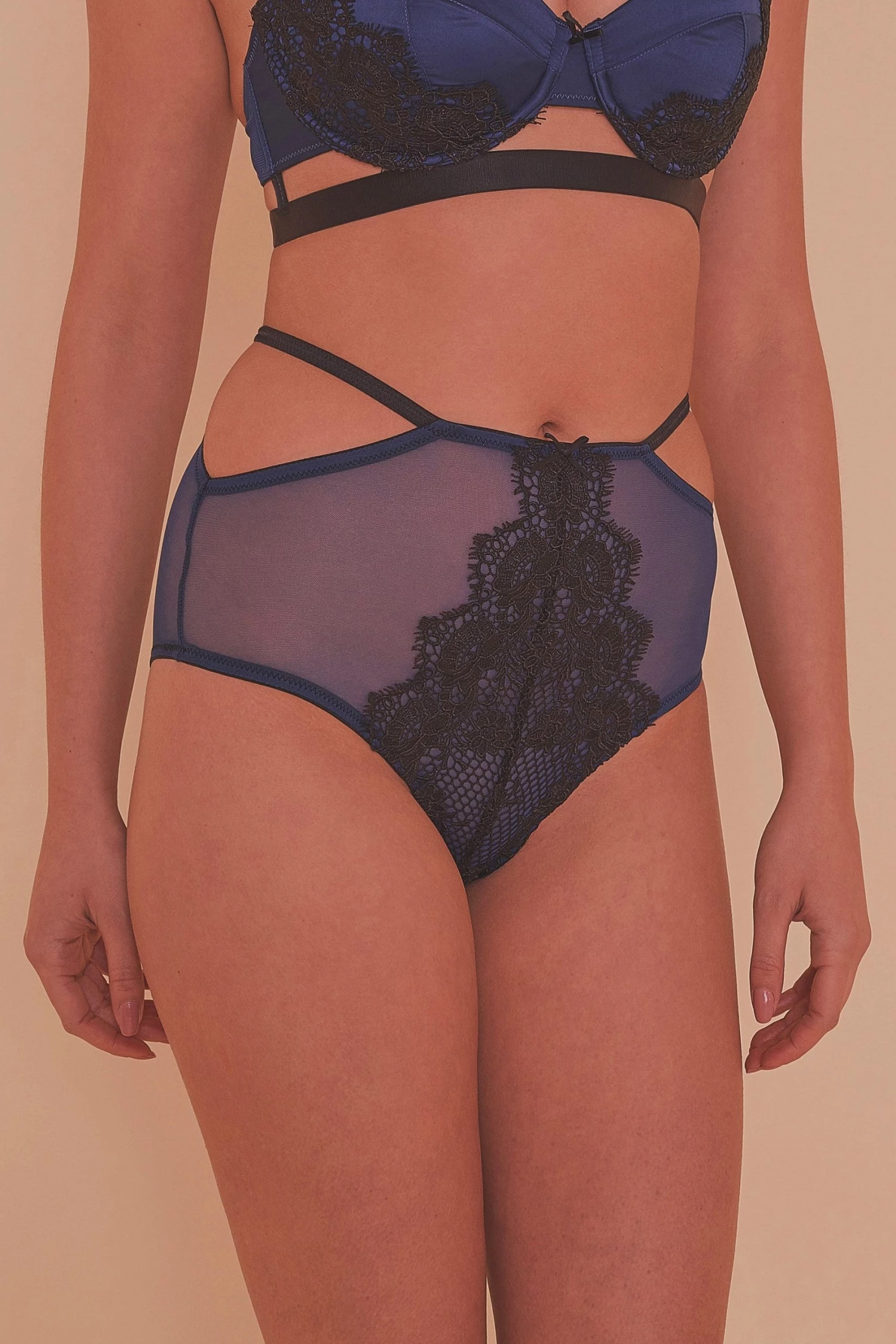 Playful Promises Tabitha Blue Embroidery HW Brief Knickers 1 Playful Promises Tabitha Blue Embroidery HW Brief Knickers