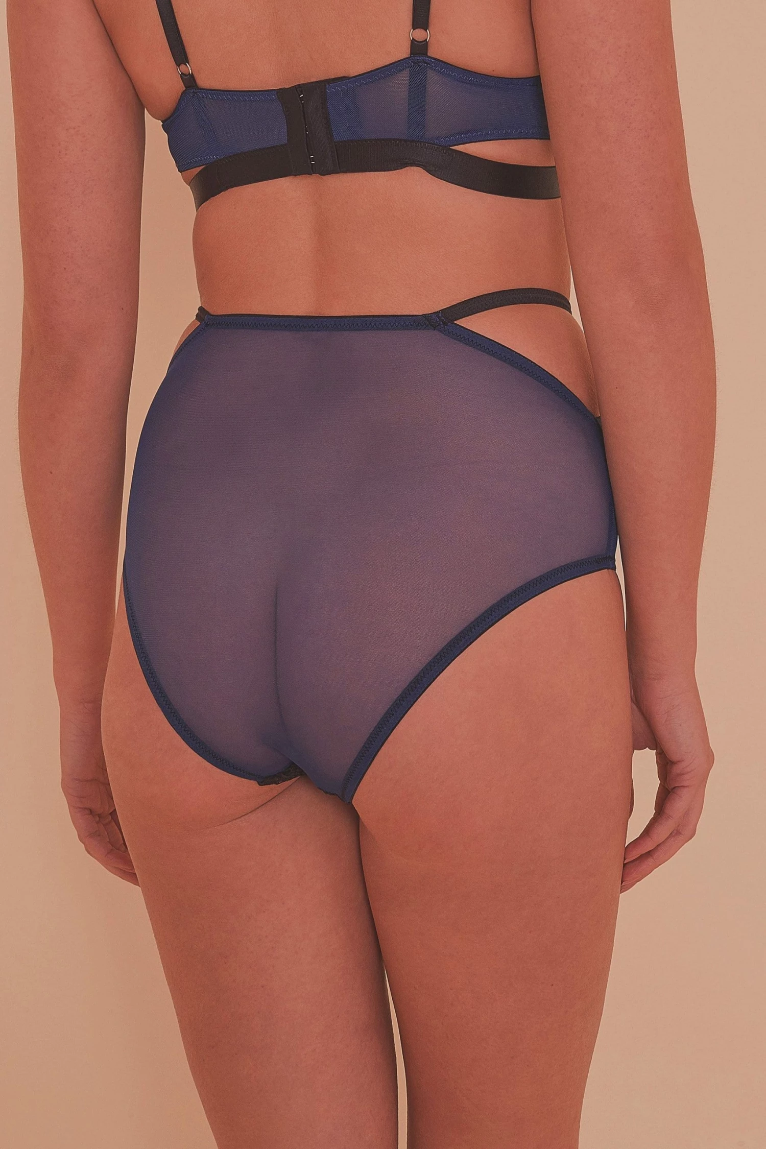 Playful Promises Tabitha Blue Embroidery HW Brief Knickers 3 Playful Promises Tabitha Blue Embroidery HW Brief Knickers