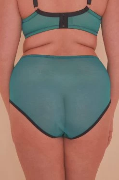 Playful Promises Knickers Ezmae Teal HW Brief
