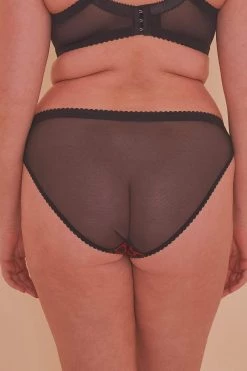 Playful Promises Josie Leopard Mesh Picot Cheeky Brazilian Brief