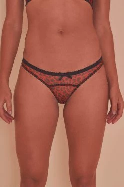 Playful Promises Josie Leopard Mesh Picot Cheeky Brazilian Brief