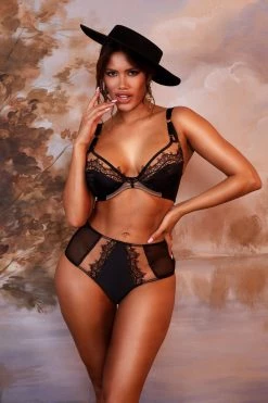 Playful Promises Wren Black Illusion Mesh And Satin High Waist Brief New In