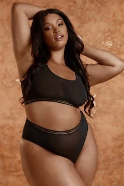 Playful Promises Curve Exclusive Chelsea Black Mesh Highwaist Brief Knickers