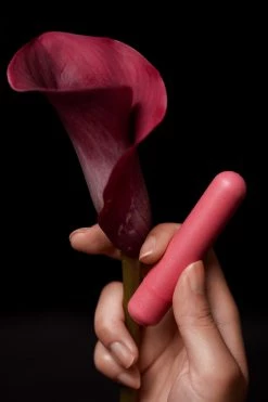 Gaia New In Accessories Eco Coral Bullet