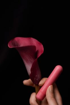 Gaia New In Accessories Eco Coral Bullet