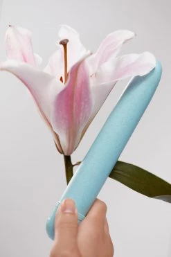 Gaia New In Accessories Eco Aqua Vibrator