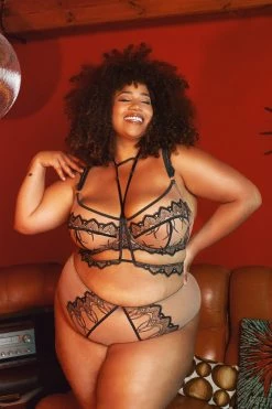 Playful Promises Curve Exclusive New In Clara Latte And Black Lace Harness And Bra
