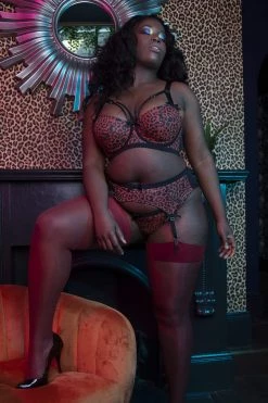 Playful Promises Suspenders Josie Leopard Mesh Picot Suspender Belt Core 22 Playful Promises Suspenders Josie Leopard Mesh Picot Suspender Belt Core