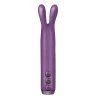 Erotic Je Joue Rabbit Bullet Clitoral Vibrator Purple