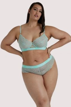 Hustler Branded Mint Curve Lace Brief Everyday Lingerie