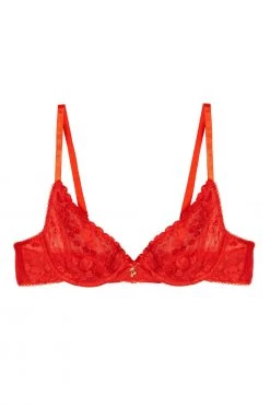 Squish Leomie Red Cherry Plunge Bra New In Bras