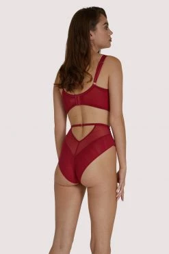 Scantilly By Curvy Kate Knickers Fallen Angel Red High Waist Brief