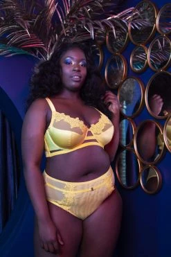 Playful Promises Knickers Vivienne Mustard Net Satin And Lace High Waist Brief 24 Playful Promises Knickers Vivienne Mustard Net Satin And Lace High Waist Brief