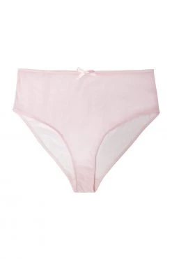 Playful Promises Curve Exclusive Marina Pink High Waisted Brief