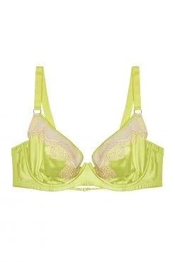 Playful Promises Curve Exclusive New In Bras Vivi Chartreuse Plunge Bra