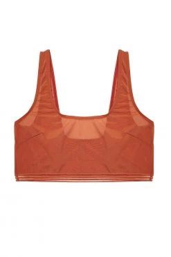 Playful Promises Curve Exclusive Chelsea Cinnamon Mesh Crop Top New In Bras 11 Playful Promises Curve Exclusive Chelsea Cinnamon Mesh Crop Top New In Bras