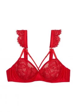 Playful Promises Anneliese Red Satin Net And Lace Bra
