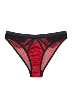 Playful Promises Tasmin Ruby Lace Brazilian Brief Knickers