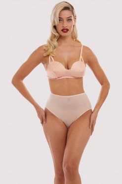 Bettie Page Lingerie Pink Mesh Classic Brief Knickers
