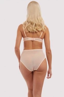 Bettie Page Lingerie Pink Mesh Classic Brief Knickers