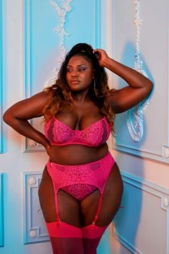 Felicity Hayward X PP New In Ophelia Pink Cut Out Lace High Waist Brief