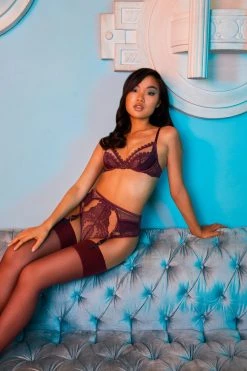 Felicity Hayward X PP New In Astrid Merlot Lace And Trim High Waisted Brief