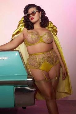 Dita Von Teese Lingerie New In Julies' Roses Chartreuse High Waist Curve Brief 6 Dita Von Teese Lingerie New In Julies' Roses Chartreuse High Waist Curve Brief