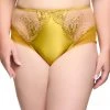 Dita Von Teese Lingerie New In Julies' Roses Chartreuse High Waist Curve Brief