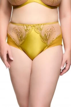 Dita Von Teese Lingerie New In Julies' Roses Chartreuse High Waist Curve Brief