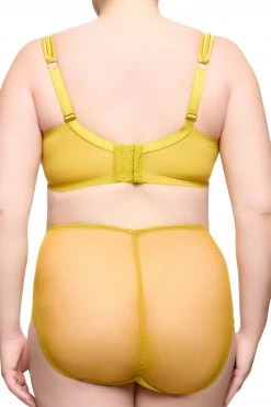 Dita Von Teese Lingerie New In Julies' Roses Chartreuse Underwire Curve Bra 5 Dita Von Teese Lingerie New In Julies' Roses Chartreuse Underwire Curve Bra