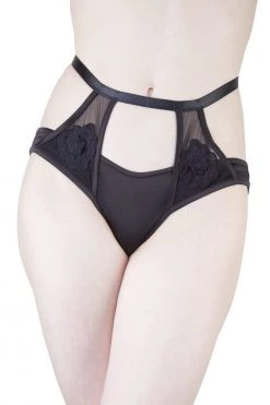 Playful Promises Effie Black Satin And Mesh Applique Brief