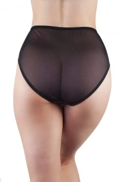 Playful Promises Irena Rust Satin & Lace High Waist Brief Knickers