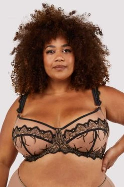 Playful Promises Curve Exclusive New In Clara Latte And Black Lace Harness And Bra