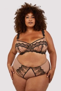 Playful Promises Curve Exclusive New In Clara Latte And Black Lace High Waisted Brief