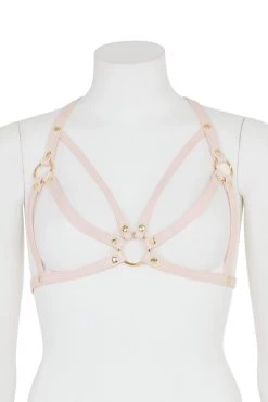 Regalia Open Harness Bra Pink