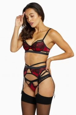 Playful Promises Tasmin Ruby Lace Brazilian Brief Knickers