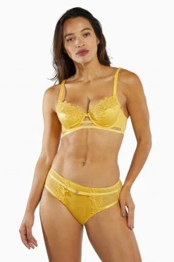 Playful Promises Knickers Vivienne Mustard Net Satin And Lace High Waist Brief 17 Playful Promises Knickers Vivienne Mustard Net Satin And Lace High Waist Brief