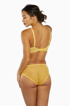 Playful Promises Knickers Vivienne Mustard Net Satin And Lace High Waist Brief 19 Playful Promises Knickers Vivienne Mustard Net Satin And Lace High Waist Brief
