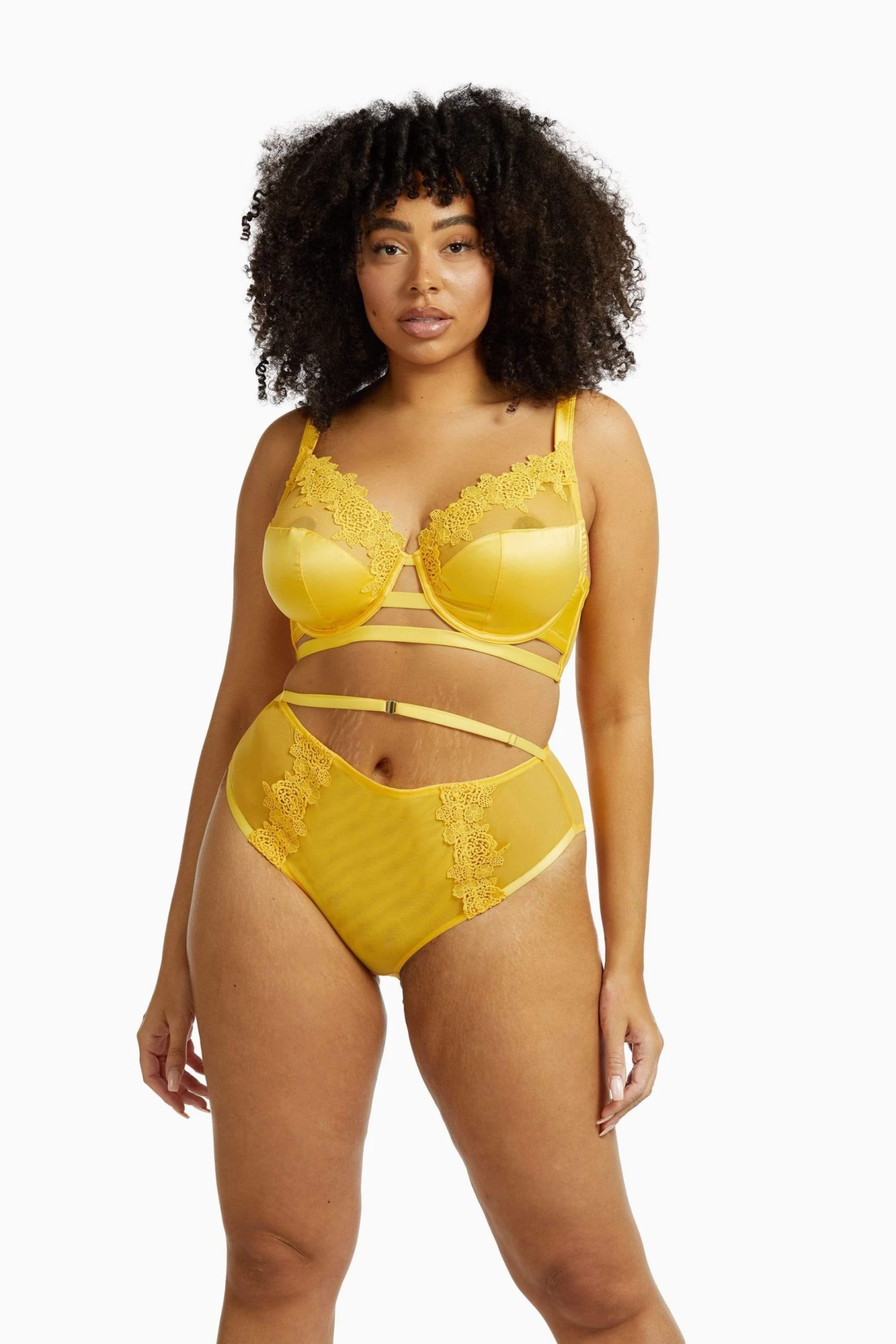 Playful Promises Knickers Vivienne Mustard Net Satin And Lace High Waist Brief 11 Playful Promises Knickers Vivienne Mustard Net Satin And Lace High Waist Brief