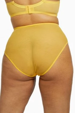 Playful Promises Knickers Vivienne Mustard Net Satin And Lace High Waist Brief 26 Playful Promises Knickers Vivienne Mustard Net Satin And Lace High Waist Brief