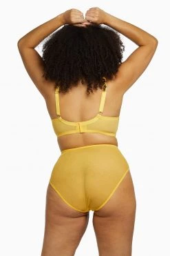 Playful Promises Knickers Vivienne Mustard Net Satin And Lace High Waist Brief 27 Playful Promises Knickers Vivienne Mustard Net Satin And Lace High Waist Brief