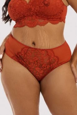 Deja Day Emma Ginger High Waisted Brief Knickers