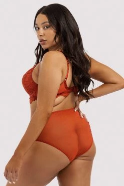 Deja Day Emma Ginger High Waisted Brief Knickers