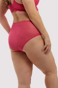 Deja Day Emma Pink Highwaist Brief