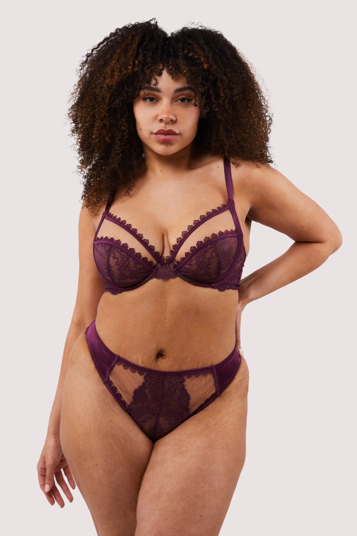 Felicity Hayward X PP Astrid Merlot Lace And Trim Brief New In 6 Felicity Hayward X PP Astrid Merlot Lace And Trim Brief New In